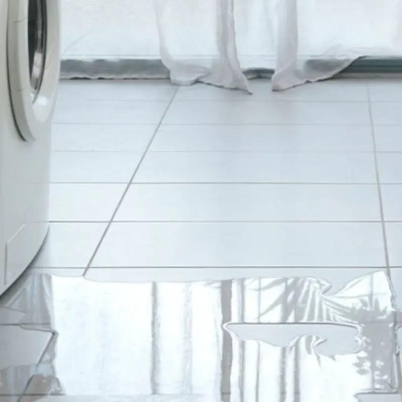 Appliance Leak Cleanup in Bayfield County, WI