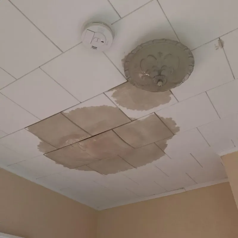 Ceiling Water Damage Repair in Bayfield County, WI
