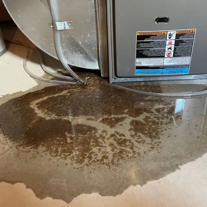 Pipe Burst and Leak Restoration in Bayfield County, WI